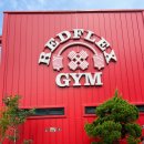 레드플렉스 짐 | 강릉헬스장 레드플렉스짐 내돈내산 방문후기 헬스장 일일권도 가능