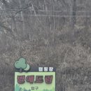 대전근교글램핑.별애드림캠핑장.별구경한 후기.영동군 야외웨딩홀 로도 가능한 예쁜 캠핑장