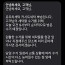 유모차카시트세탁뽀송 이미지