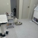 플로이몽 이미지