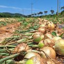 현산면 효열부 나주임씨정려 | 서해랑길 2코스 (전남 해남군)