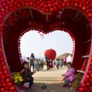 시골어부협동조합 이미지