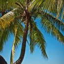 바다풍경 이미지