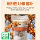비타민베이커리