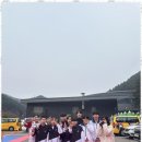 용인대 청명 태권도 이미지