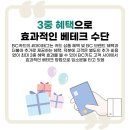 베테크 이미지