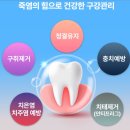 41190-01-07-160 | 죽염의 명가 인산가 대소금 치약 160g 잇몸 염증 완화 솔직리뷰