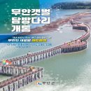 국내트레킹/2026년 11월28일/전남 무안.서해랑길 32코스 황토갯벌 탐방다리 트레킹 이미지
