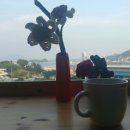 도도 게스트하우스 이미지