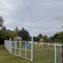 개덩이네 하우스 이미지