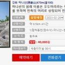 금강투어 이미지