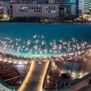 디자인농림 이미지