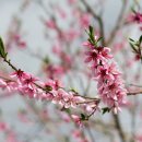 팡팡노래연습장 이미지