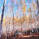 인제군기린면북리보건진료소 | 인제군 주간행사계획 (2017.3.13. ~ 2017.3.19.)