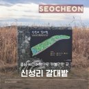 뚜레쥬르 충남서천중앙점 | 충남 서천여행 산책겸 가볼만한 사진명소 신성리갈대밭