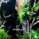 수지로 이면도로 이미지