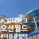 힐스템생활건강홍천점 | [홍천 여행] 여름 필수 코스! 오션월드 (기본정보/할인 꿀팁/준비물 총정리)