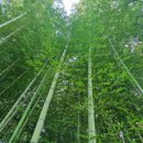 금창약국 이미지