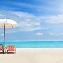 준오토카 이미지