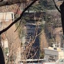 영장 이미지