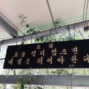 푸른샘농장 이미지