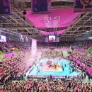 지에스25 삼산세민점 | '여자배구 실내체육관 시야' 모음 (인천 삼산체육관, 장충체육관, 수원 실내체육관, 광주 염주체육관)