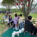 독앤트리 이미지