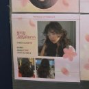 햇살미용실 | 동삭동 미용실 젤리펌 잘 하는 곳 찾는다면? 포브엔 미용실 솔직 후기