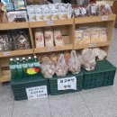 가조 | 덕유산 일정 마무리로 좋았던 거창 가조 백두산천지온천 후기