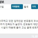반포광성공인중개사사무소 이미지