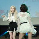 예빈플라워