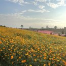 부리흑염소목장 이미지