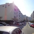 사파동309 이미지