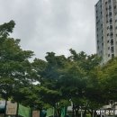 구암동205 이미지