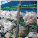 경신농장 이미지