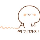 똑똑블럭여주
