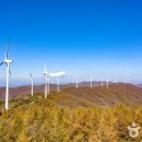 횡성산울림오토캠핑장 이미지