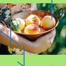 사랑한옥집 이미지