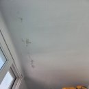 남구-080 | 부산남구 방수 흐름이 안정적인 곳 어디일까