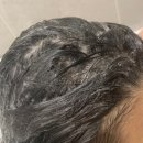 몽샴푸 | 사춘기 정수리 냄새 고민해결->몽프라 딥클린샴푸!