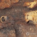 합천 옥전 M6호분 출토 금귀걸이 이미지