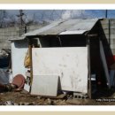 도원농장 이미지