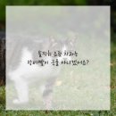 이스타일치과의원 이미지