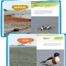 댕글댕글 이미지