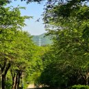 에세이 쓰기 | 후기> 에세이 쓰기 특강