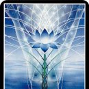 참여(Participation) 이미지