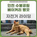 백석육교 | 인천 수봉공원 : 베이커리 빵끗 : 육수 라이딩 시작 ㅋ