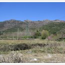 진남마을회관 이미지