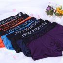 아놀드바시니 이미지