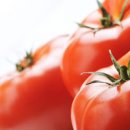 토마토 먹으면 좋은점 핵심 12가지 몸에 좋은 음식 찾는다면 이미지